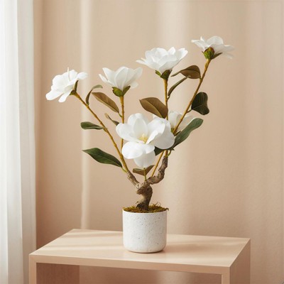EcoSummer 2 Pack 24" Artificial Magnolia Tree with 6 White Flowers and Green Leaves, Indoor Potted Faux Magnolia Plant for Home Office Floor Decor
