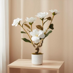 EcoSummer 2 Pack 24" Artificial Magnolia Tree with 6 White Flowers and Green Leaves, Indoor Potted Faux Magnolia Plant for Home Office Floor Decor - 1 of 4