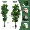 MaseiKar Fiddle Leaf Fig Tree 6ft Tall Artificial Tree in Plastic Pot Fake Ficus Lyrata Plants with 184 Decorative Fiddle Leaves Faux Fig Trees - 3 of 4