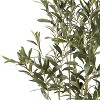 NicBex Artificial Tree Faux Plants 4FT Artificial Olive Trees Indoor with Natural Wood Trunk, Room Decor for Home, Foyer - 4 of 4