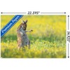 Trends International The Comedy Wildlife Photography Awards: Jason Moore - Air Guitar Roo Unframed Wall Poster Prints - 3 of 4