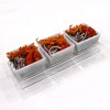 Waterdale Collection - Rectangle Trapezoid Dip Bowl Set - 2 of 4