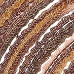 gradient brown