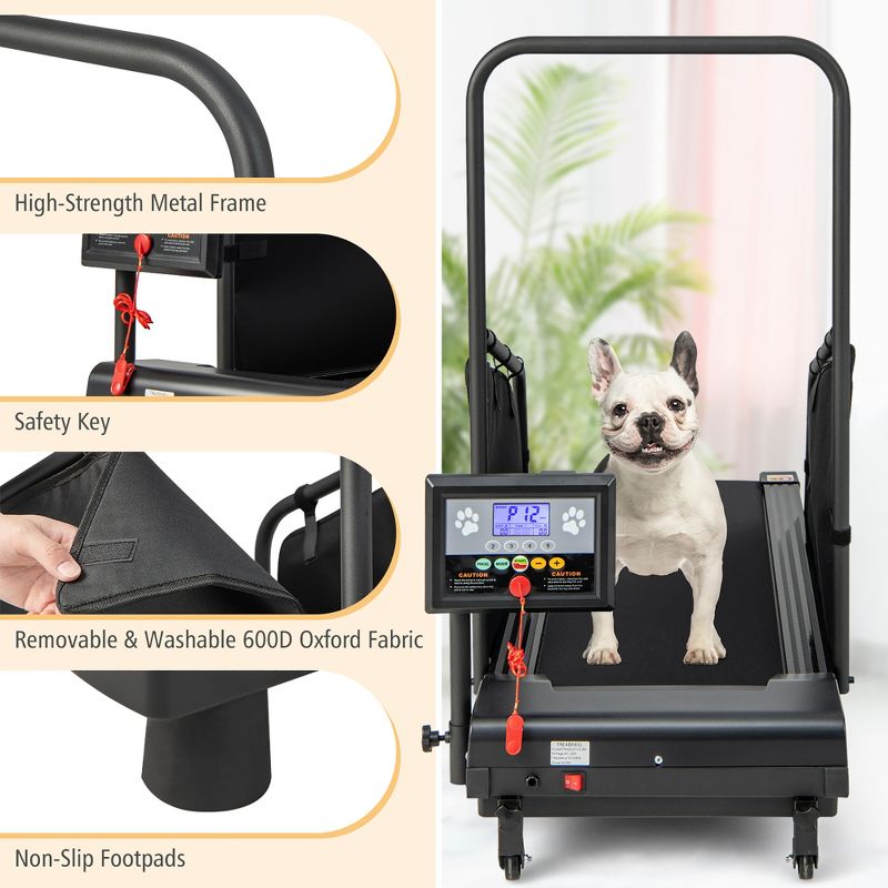 Petsite Dog Treadmill for Small/Medium Dogs Indoors Pet Running Training Machine, 4 of 11