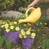 Novelty Kids Lucky Duck Watering Can, Yellow, 1 Gallon - 3 of 4