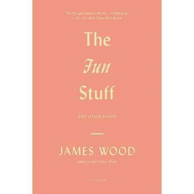 Fun Stuff - by  James Wood (Paperback)