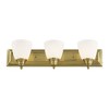 Livex Lighting Springfield 3 - Light Vanity in  Antique Brass - 4 of 4