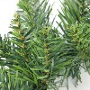 Northlight 12" Unlit Buffalo Fir Artificial Christmas Wreath - 2 of 3