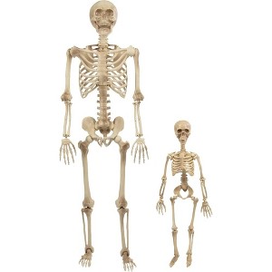 Life Size Human Skeleton Halloween Decoration Value 2 Pack- Adult 5' 4" & Child 2' - Articulated Movable Limbs, Weather Resistant Indoor/Outdoor - 1 of 4
