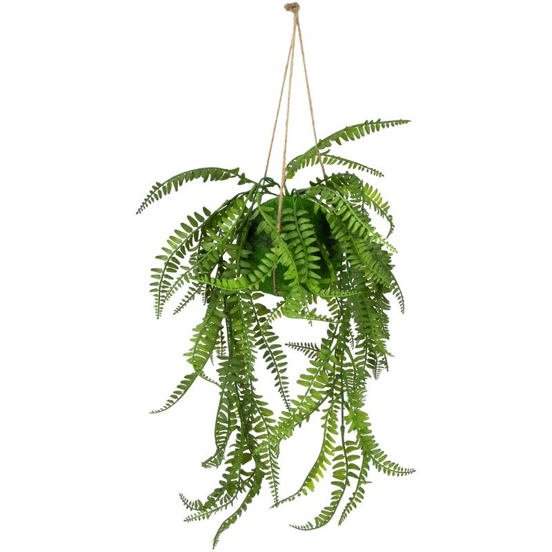 Northlight 18" Artificial Fern Plant with Moss Ball and Hanging Jute Cord, 1 of 7