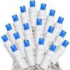 Novelty Lights LED Christmas String Lights Light Set 100 Mini Bulbs  (white Wire, 34 Feet) - 4 of 4