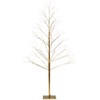 The Lakeside Collection Lighted Twinkle Trees - 24" - 2 of 4