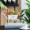 NAYSAYE Planter White Metal Decorative Distressed Wheelbarrow Planter for Indoor Outdoor Garden, White, 11.5"*4"*7" - 4 of 4