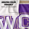 Western Carolina University Primary Logo Stripes Silky 50x60 Blanket, 1 Sided - 4 of 4