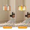 YIYIBYUS Vintage Creative Height Adjustable Pendant Light With Glass Shade - 3 of 4