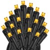 Novelty Lights 50 Light LED Christmas Mini Light Set (Black Wire, 25 Feet) - 4 of 4