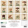 Willow Creek Press Art of the Mushroom 2025 Wall Calendar: Monthly, 12x12 Inches, Paper, Sewn Binding, All Ages - image 2 of 4