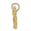 Black Bow Jewelry 14k Yellow Gold Small 2D Textured Terrier Pendant - 2 of 4
