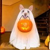 Milk-Bone Halloween Spooky Biscuits Flavored Dog Treats - 24oz - 3 of 4