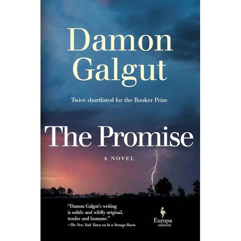 the promise by galgut