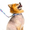 Country Brook Petz Martingale Collar and Leash - Country and Western Collection - 2 of 4