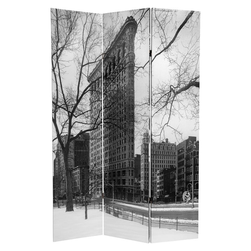 New York City Double Sided Room Divider - Oriental Furniture, High Definition Canvas Print, Spruce Wood Frame, Foldable, 3 of 6
