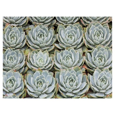 Succulent Grid By Robin Constable Hanson Wrapped Unframed Wall Canvas Art - Masterpiece Art Gallery