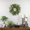 Northlight Real Touch™️ Cypress, Lemon and Eucalyptus Artificial Christmas Wreath - 22" - Unlit - 2 of 4