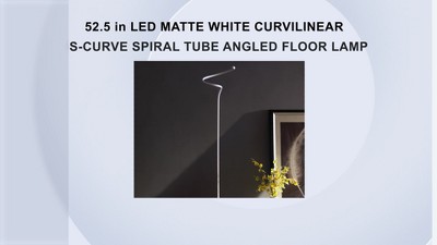 Matte White Curvilinear S-Curve LED Floor Lamp