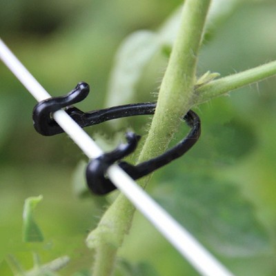 100 fasteners for fastening screws with buckle, for plants and vegetables, for agricultural grafting