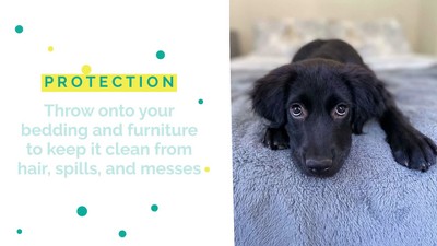 Medium Brown Waterproof Reversible Faux Suede and Fleece Pet Blanket