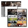 Pets Collection Monthly Desk Pad, Furry Kittens Photography, 22 x 17, White Sheets, Black Binding, 12-Month (Jan-Dec): 2025 - 3 of 4