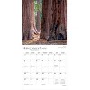 BrownTrout Yosemite 2026 12"x24" Hanging Square Wall Calendar Plastic-Free - 4 of 4