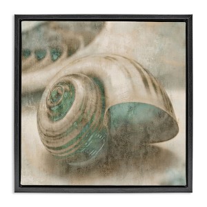 Stupell Industries Centered Sharkeye Seashell, 18" x 18" - 1 of 4