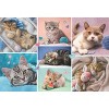 Trefl In the Cat World Kids Jigsaw Puzzle - 100pc - image 3 of 4