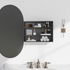 PexFix Oval Metal Recessed/Surface Mount Medicine Cabinet with Mirror Black - 4 of 4