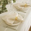 Elrene Elegance Plaid Stain Resistant Napkin Set of 4 - 17" x 17" - Elrene Home Fashions - image 3 of 4