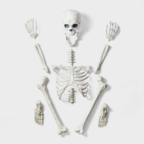 13pc Skeleton Bag Of Bones Halloween Decorative Prop - Hyde & Eek ...