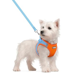 rabbitgoo Dog Harness Small Sized and Leash Set, Step in Soft Light Puppy Pet Harness, Reflective for Safe Easy Walking, Blue & Orange S - 1 of 1