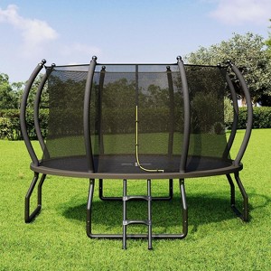 AMERLIFE Outdoor Trampoline with Enclosure Net and Ladder, Recreational Trampolines for Kids and Adults - 1 of 4