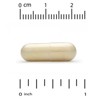 Super Nutrition Alpha Lipoic Acid, 600 mg, 60 Veggie Capsules - 3 of 4