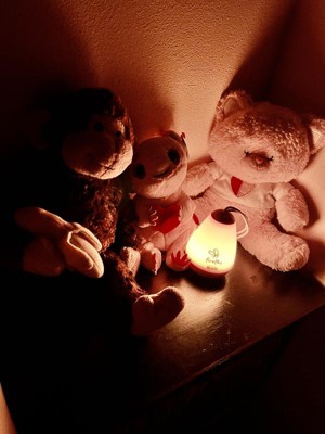 Guest review image 1 of 1, zoom in