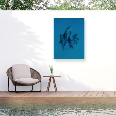 Trademark Fine Art - Romano Molinari Dolphins 6 Matted Framed Art