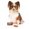 BARK Afraid of the Bark Halloween Trick-Or-Squeaks Candy Food Shaped Plush Dog Toy - 3 of 3
