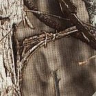 mossy oak break-up country