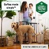 Summer Infant by Ingenuity Infant Union Arch Safety Gate - Black - 3 of 4