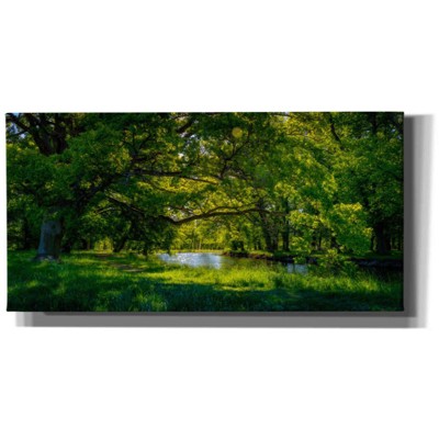 Cortesi Home 'Summer Morning In The Park' by Nicklas Gustafsson Canvas ...