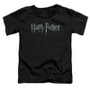 Toddler Boys' Harry Potter Logo T-Shirt - 2 of 4