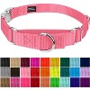 Country Brook Petz Heavyduty Nylon Martingale with Premium Buckle - 3 of 4