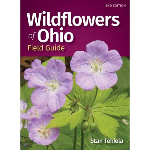 Purple Flowers Of Ohio | Best Flower Site